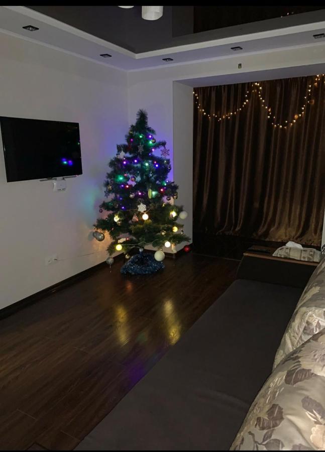 Elena'S Holiday Apartment Kamyanets-Podilski Dış mekan fotoğraf