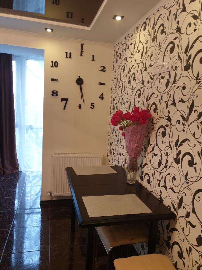 Elena'S Holiday Apartment Kamyanets-Podilski Dış mekan fotoğraf
