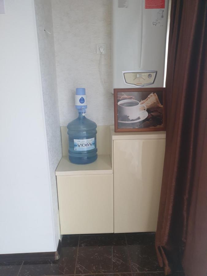 Elena'S Holiday Apartment Kamyanets-Podilski Dış mekan fotoğraf